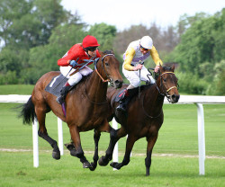 Hi Tec Horse Race Night Photo